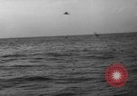 Image of seagulls Nova Scotia, 1936, second 39 stock footage video 65675072009