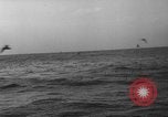 Image of seagulls Nova Scotia, 1936, second 41 stock footage video 65675072009