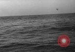 Image of seagulls Nova Scotia, 1936, second 42 stock footage video 65675072009