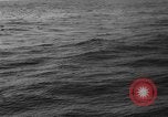 Image of seagulls Nova Scotia, 1936, second 44 stock footage video 65675072009
