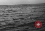 Image of seagulls Nova Scotia, 1936, second 49 stock footage video 65675072009