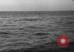 Image of seagulls Nova Scotia, 1936, second 51 stock footage video 65675072009