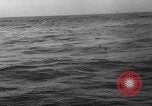 Image of seagulls Nova Scotia, 1936, second 56 stock footage video 65675072009