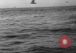 Image of seagulls Nova Scotia, 1936, second 58 stock footage video 65675072009