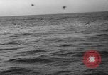 Image of seagulls Nova Scotia, 1936, second 59 stock footage video 65675072009