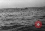 Image of seagulls Nova Scotia, 1936, second 60 stock footage video 65675072009