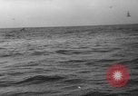 Image of seagulls Nova Scotia, 1936, second 61 stock footage video 65675072009