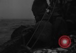 Image of fishing activities Nova Scotia, 1936, second 16 stock footage video 65675072011