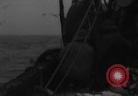 Image of fishing activities Nova Scotia, 1936, second 17 stock footage video 65675072011