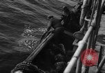 Image of fishing activities Nova Scotia, 1936, second 49 stock footage video 65675072011