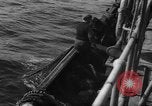 Image of fishing activities Nova Scotia, 1936, second 52 stock footage video 65675072011
