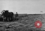 Image of Allied troops France, 1944, second 18 stock footage video 65675072014
