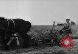 Image of Allied troops France, 1944, second 21 stock footage video 65675072014