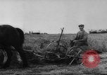 Image of Allied troops France, 1944, second 22 stock footage video 65675072014