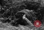 Image of Allied troops France, 1944, second 5 stock footage video 65675072017