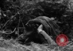 Image of Allied troops France, 1944, second 6 stock footage video 65675072017