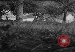 Image of Allied troops France, 1944, second 7 stock footage video 65675072017