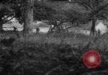 Image of Allied troops France, 1944, second 8 stock footage video 65675072017