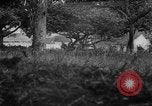 Image of Allied troops France, 1944, second 9 stock footage video 65675072017
