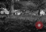 Image of Allied troops France, 1944, second 10 stock footage video 65675072017