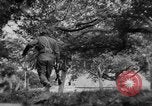 Image of Allied troops France, 1944, second 12 stock footage video 65675072017