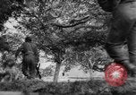 Image of Allied troops France, 1944, second 13 stock footage video 65675072017