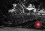 Image of Allied troops France, 1944, second 14 stock footage video 65675072017
