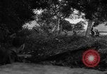 Image of Allied troops France, 1944, second 15 stock footage video 65675072017