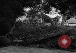 Image of Allied troops France, 1944, second 16 stock footage video 65675072017