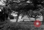 Image of Allied troops France, 1944, second 19 stock footage video 65675072017