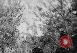 Image of Soviet 12-52 30.5cm gun Soviet Union, 1943, second 10 stock footage video 65675072022