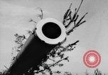 Image of Soviet 12-52 30.5cm gun Soviet Union, 1943, second 31 stock footage video 65675072022
