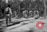 Immagine di Corsi di formazione Florida United States USA, 1943, secondo 57 filmato di repertorio 65675072035