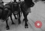 Standbild Russische Truppen im Schnee die Sowjetunion, 1943, aus Sekunde 20 historischem Filmmaterial Videoclip 65675072037
