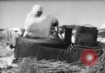 Standbild Russische Truppen im Schnee die Sowjetunion, 1943, aus Sekunde 25 historischem Filmmaterial Videoclip 65675072037