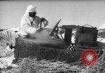 Standbild Russische Truppen im Schnee die Sowjetunion, 1943, aus Sekunde 27 historischem Filmmaterial Videoclip 65675072037