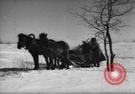 Standbild Russische Truppen im Schnee die Sowjetunion, 1943, aus Sekunde 44 historischem Filmmaterial Videoclip 65675072037
