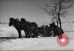 Standbild Russische Truppen im Schnee die Sowjetunion, 1943, aus Sekunde 47 historischem Filmmaterial Videoclip 65675072037