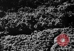 Image of OSS trains natives Burma, 1944, second 45 stock footage video 65675072041
