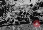 Image of OSS interrogate Japanese Burma, 1944, second 1 stock footage video 65675072042