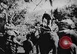 Image of OSS interrogate Japanese Burma, 1944, second 4 stock footage video 65675072042