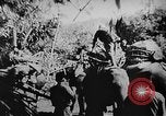 Image of OSS interrogate Japanese Burma, 1944, second 5 stock footage video 65675072042