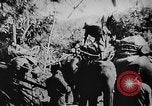 Image of OSS interrogate Japanese Burma, 1944, second 6 stock footage video 65675072042