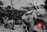 Image of OSS interrogate Japanese Burma, 1944, second 7 stock footage video 65675072042