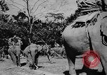 Image of OSS interrogate Japanese Burma, 1944, second 8 stock footage video 65675072042
