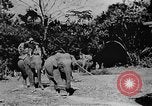 Image of OSS interrogate Japanese Burma, 1944, second 10 stock footage video 65675072042