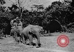 Image of OSS interrogate Japanese Burma, 1944, second 11 stock footage video 65675072042