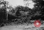 Image of OSS interrogate Japanese Burma, 1944, second 35 stock footage video 65675072042