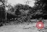 Image of OSS interrogate Japanese Burma, 1944, second 36 stock footage video 65675072042