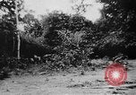 Image of OSS interrogate Japanese Burma, 1944, second 37 stock footage video 65675072042